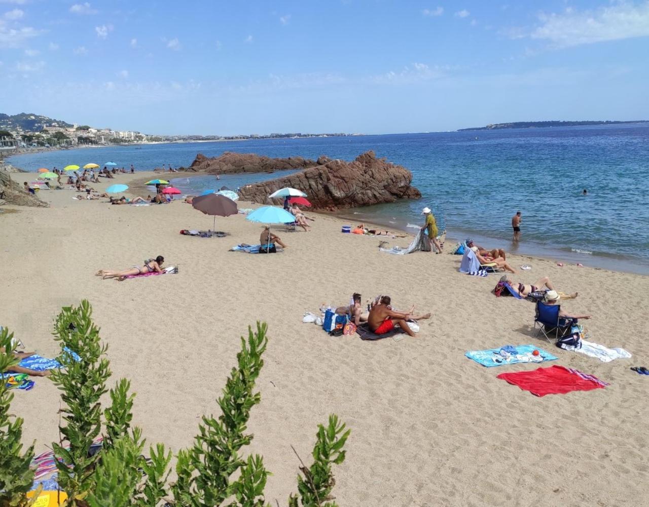 Agreable Chambre D'Hote A 50M De La Mer Cannes Zewnętrze zdjęcie